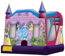 Disney Princess Combo