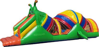 Caterpillar Craze