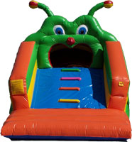 Caterpillar Craze