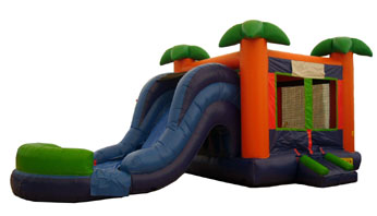 Palm Tree Wet Dry Slide